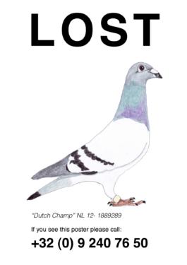 Pilvi Takala Lost Pigeons